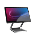 Diebold Nixdorf sarja BEETLE A 15" (20134840)