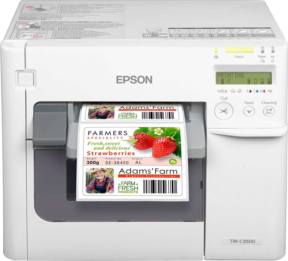 Epson ColorWorks C3500 colour label printer, 4-inch, auto cutter, 720 x 360 dpi, inkjet (C31CD54012CD) – front view with printed labels