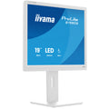 iiyama ProLite B1980S-W1 19" Monitor, TN, SXGA 5:4, Height-Adjustable, White (B1980S-W1)